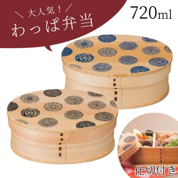 お弁当箱 ドット isso 食器 おしゃれ ecco 新わっぱ弁当 小判Ｌ