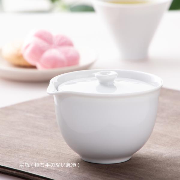宝瓶 急須 茶器 絞りだし急須 ポット 丸洗い可能 食洗器対応 美濃焼