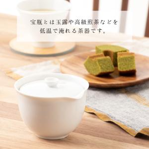 宝瓶 急須 茶器 絞りだし急須 ポット 丸洗い...の詳細画像1