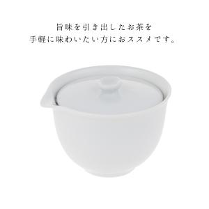 宝瓶 急須 茶器 絞りだし急須 ポット 丸洗い...の詳細画像3