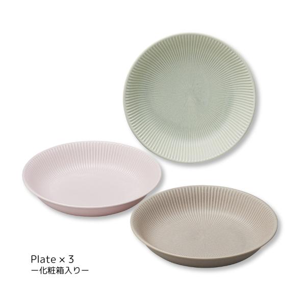 食器セット パスタ皿 カレー皿  3枚セット おしゃれ 食洗器 電子レンジ対応 日本製 Dusty