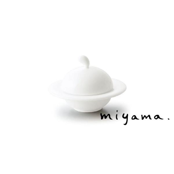 小鉢 ボウル 食器 おしゃれ 食卓のアクセント ディップ 白磁 ring アミューズ