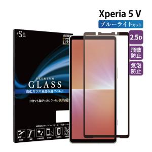 Xperia 5 V XQ-DE44 【超美品】 ガラスフィルム.ケース付き Xperia 5 V SO-53D SOG12 XQ-DE44 フィルム 全面 ガラスフィルム 全面