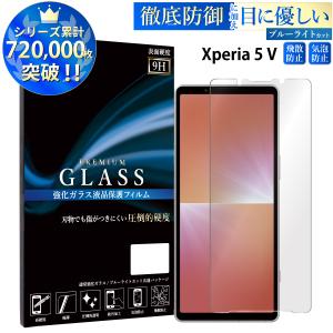 Xperia 5 V SO-53D SOG12 XQ-DE44 フィルム ブルーライトカット xperia 5 v 液晶保護フィルム 超透過率 YH｜kintsu