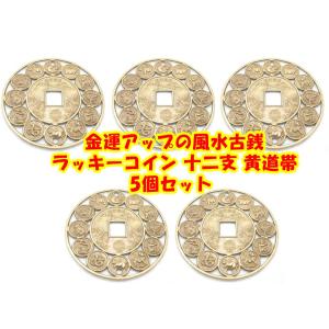 お買い得5枚セット!金運が良くなる風水古銭 ラッ...の商品画像
