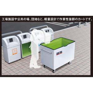 カイスイマレン カートペール CP450 本体...の詳細画像4