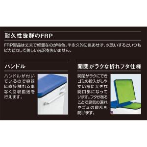 カイスイマレン カートペール CP800 本体...の詳細画像2