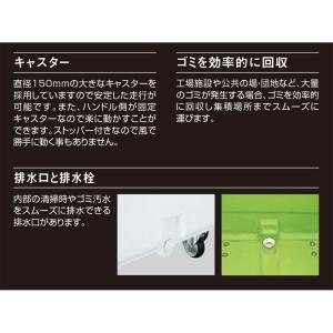 カイスイマレン カートペール CP800 本体...の詳細画像3