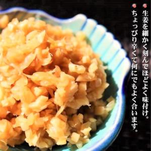 【送料無料】のっけて生姜盛 180g×2個セッ...の詳細画像5