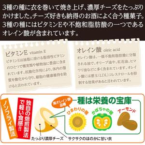 【送料無料】 業務用 じゃり豆 濃厚チーズ味 ...の詳細画像2