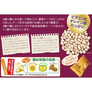 【送料無料】 業務用 じゃり豆 濃厚チーズ味 ...の詳細画像3