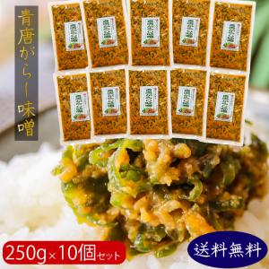 【送料無料】青唐辛子味噌 250g×10個 青唐がらし味噌 ご飯のお供 信州味噌 みそ おかず味噌 お酒の肴 万能調味料 季折｜kiori-store