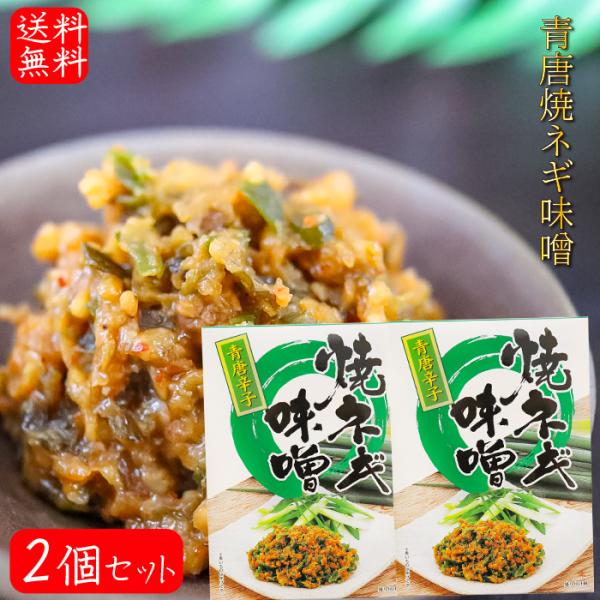 【送料無料】青唐焼ネギ味噌 250g×2個 箱タイプ 国内製造味噌使用 青唐辛子 焼きねぎ 青唐がら...