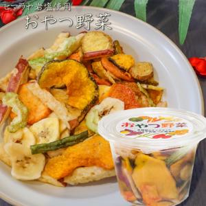 おやつ野菜 120g 野菜チップス 果物チップ...の詳細画像4