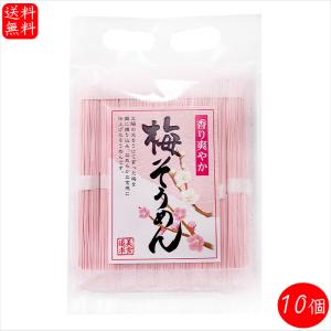 【送料無料】梅そうめん 450g(50g×9束入...の商品画像