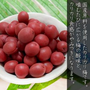 【送料無料】国産梅使用 カリカリ小梅 200g...の詳細画像1