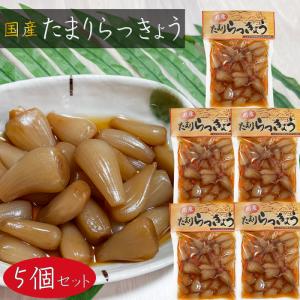 【送料無料】国産 たまりらっきょう 120g×5個 お漬物 国産らっきょう使用 らっきょう漬け たまり漬け ご飯のお供 おつまみ カレー 定食 ラッキョウ 漬物 季折