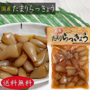 【送料無料】国産 たまりらっきょう 120g×...の詳細画像3