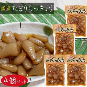 【送料無料】国産 たまりらっきょう 120g×4個 お漬物 国産らっきょう使用 らっきょう漬け たまり漬け ご飯のお供 おつまみ カレー 定食 ラッキョウ 漬物 季折