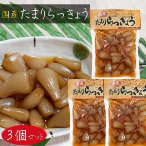 【送料無料】国産 たまりらっきょう 120g×3個 お漬物 国産らっきょう使用 らっきょう漬け たまり漬け ご飯のお供 おつまみ カレー 定食 ラッキョウ 漬物 季折