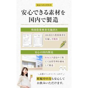 喜保屋 とうもろこしのひげ茶 ティーバッグ ノ...の詳細画像4