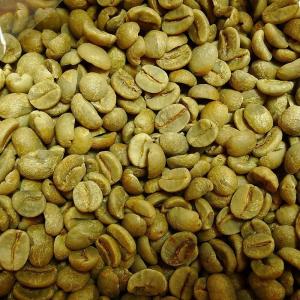 コーヒー豆 お試し 詰め合わせ 5種 サントス スプレモ グアテマラ マンデリン キリマンジャロ 未焙煎 生豆 各種100g 合計500g｜kirakira-cyura-shop2
