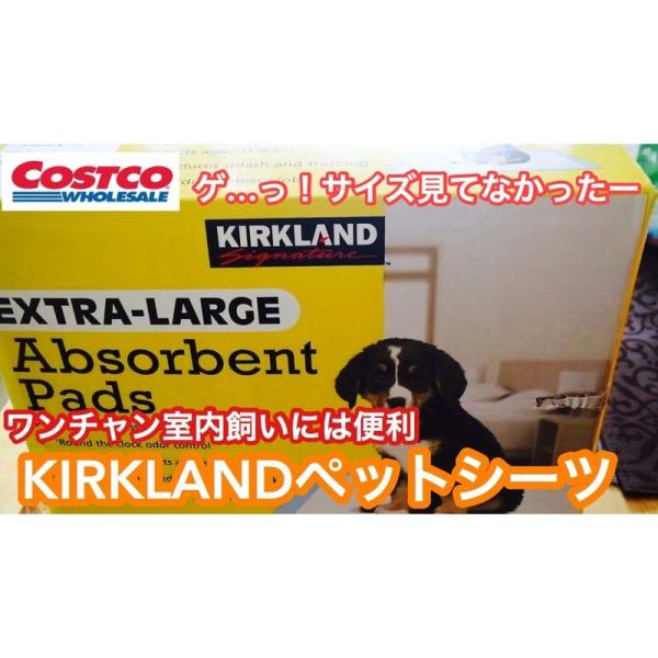 KIRKLAND(カークランド) エクストララージ ペット用吸水シート 100枚 76cm×58cm...