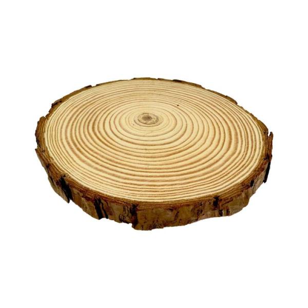 天然木の台座 ディスプレイスタンド スギの木 切り株 1個 14-16cm 大サイズ 木製 コースタ...