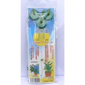 鉢植簡易給水器 給水番 (3キャップ3本)｜kirakira-cyura-shop3