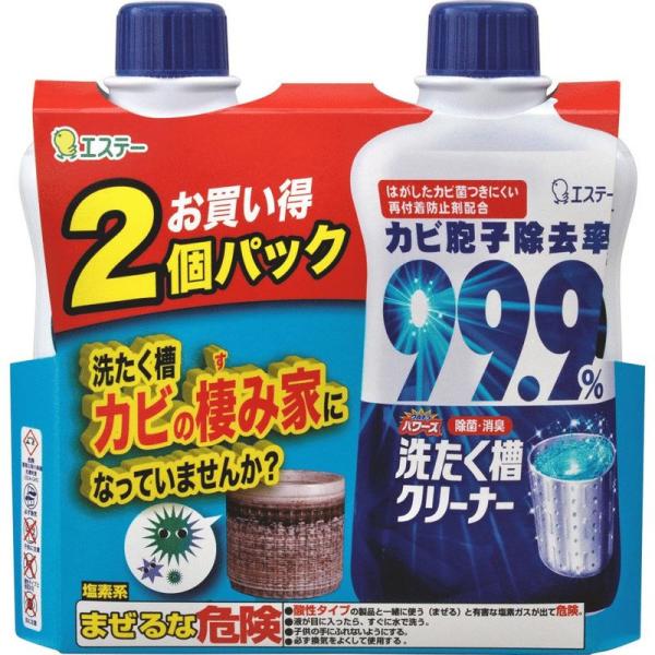 ウルトラパワーズ 洗濯槽クリーナー 550g×2個