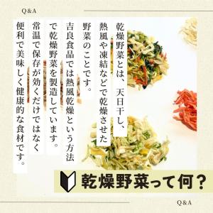 【熊本産】干し野菜(乾燥野菜)にんじん 110gの詳細画像1
