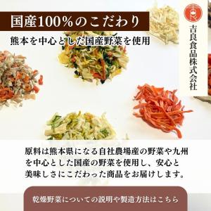 【熊本産】干し野菜(乾燥野菜)にんじん 110gの詳細画像5