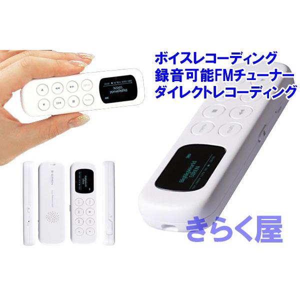 【売り切れました】2GBデジタルオーディオプレーヤーサイレン【SIREN　DP250】