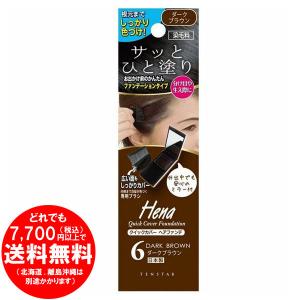 テンスター クイックカバー ヘアファンデ ダークブラウン 3.5g