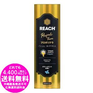 [売り切れました] リーチ プロポリテラ歯みがき クラシックミント 120g 薬用ハミガキ REACH 医薬部外品