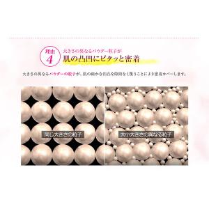 [売り切れました] イザノックス リフィル2個...の詳細画像3