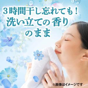 P&G ボールドジェル 爽やかフラワー...の詳細画像2