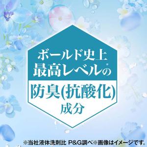 P&G ボールドジェル 爽やかフラワー...の詳細画像3