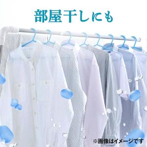 P&G ボールドジェル 爽やかフラワー...の詳細画像4