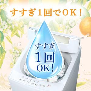 [売り切れました] P&G ボールドジ...の詳細画像3