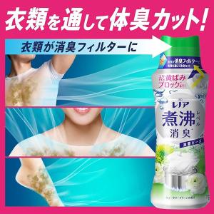 [売り切れました] P&G レノア煮沸...の詳細画像1