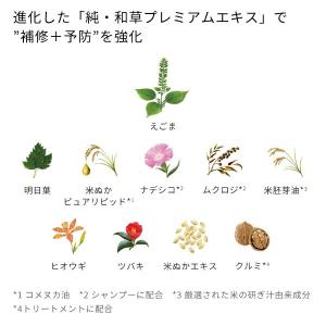 いち髪 カラーケア&ベーストリートメントin ...の詳細画像3