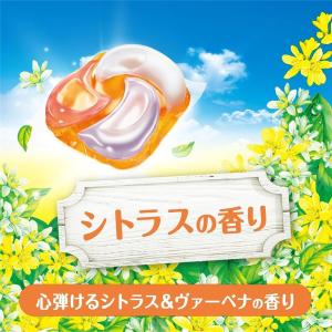 [売り切れました] P&G ボールドジ...の詳細画像1