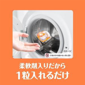 [売り切れました] P&G ボールドジ...の詳細画像2