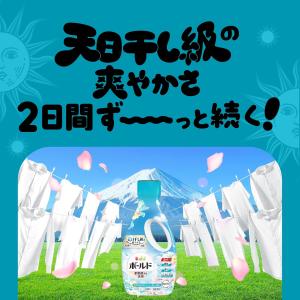ボールド ジェル 洗濯洗剤 柔軟剤入り フレッ...の詳細画像1