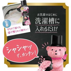 レノア アロマジュエル お洗濯の香り付けビーズ...の詳細画像5