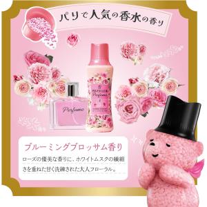●5袋セット レノア ハピネス アロマジュエル...の詳細画像3