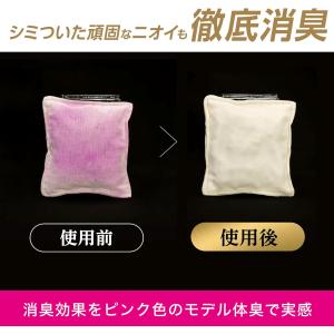P&Gジャパン ファブリーズW除菌+消臭 プレ...の詳細画像3
