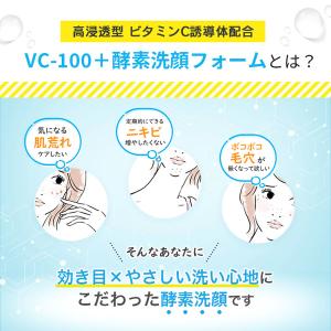 [売り切れました] VC-100 クリアブライ...の詳細画像2