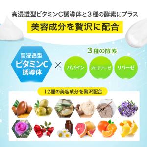 [売り切れました] VC-100 クリアブライ...の詳細画像5